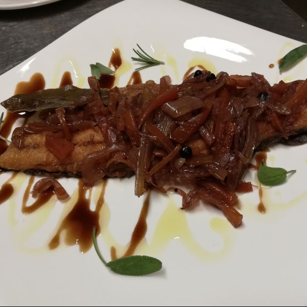TROTA SALMONATA IN CARPIONE 